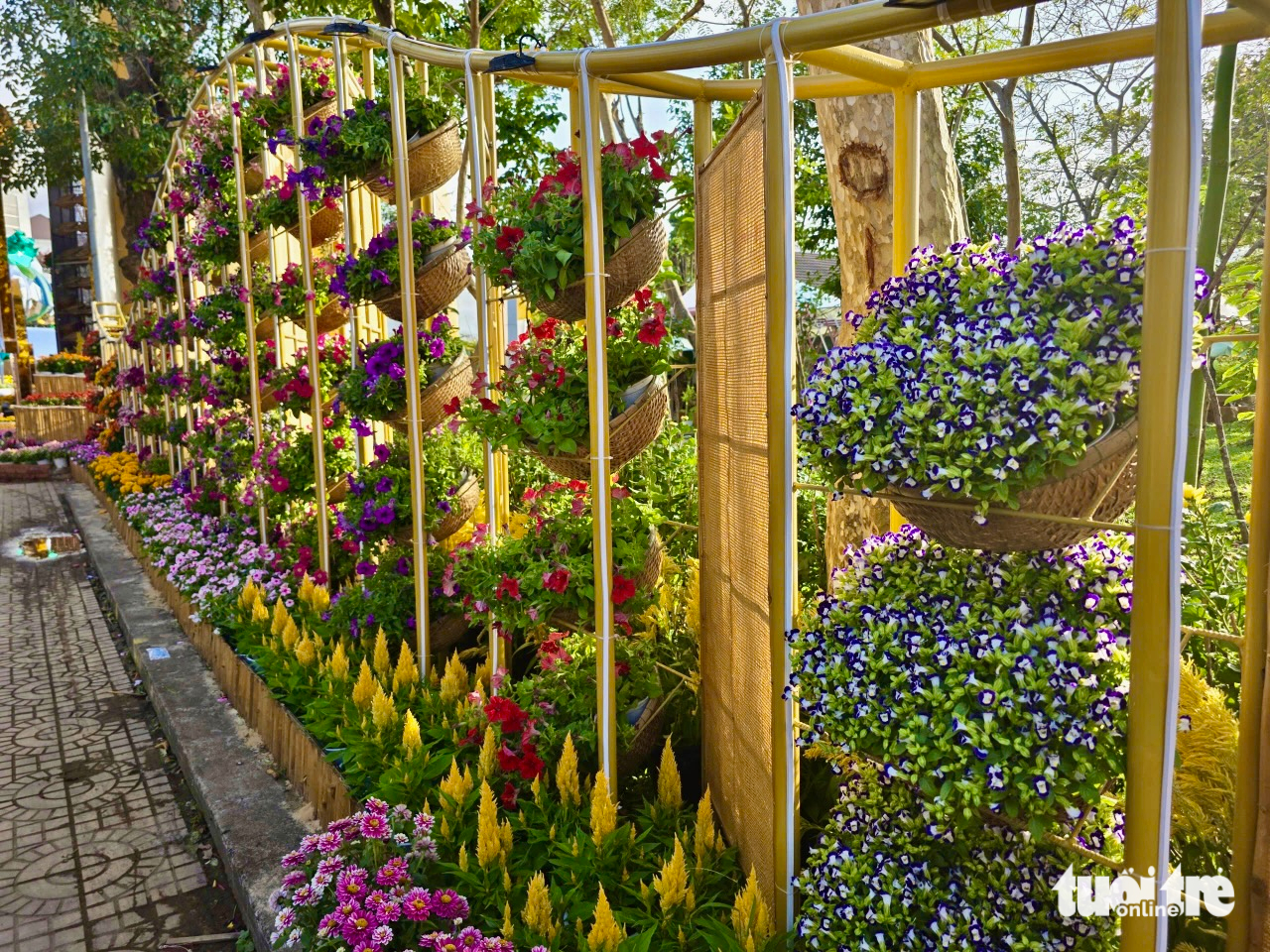 Phú Yên - Ảnh 13.