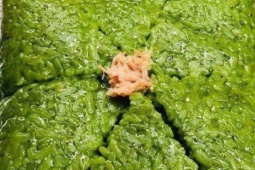 Loại bánh chưng từ truyền thống đến biến tấu “độc lạ” thơm ngon khó cưỡng