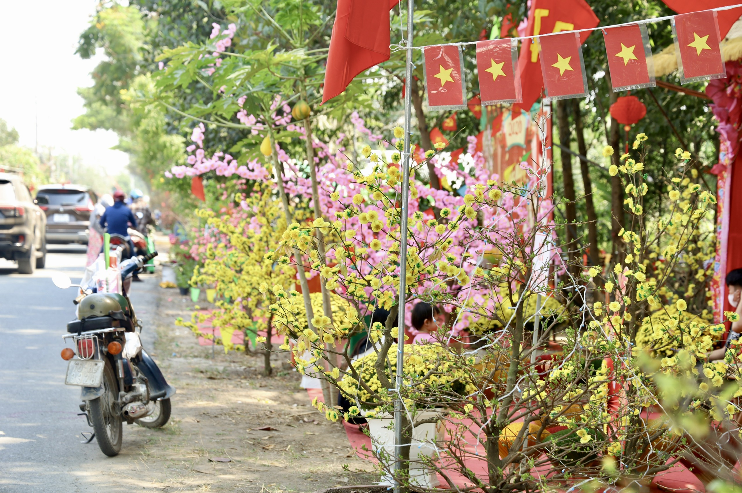 Khai mạc Đường hoa Mai vàng Bình Lợi: Tôn vinh làng nghề giữa lòng đô thị - Ảnh 2.