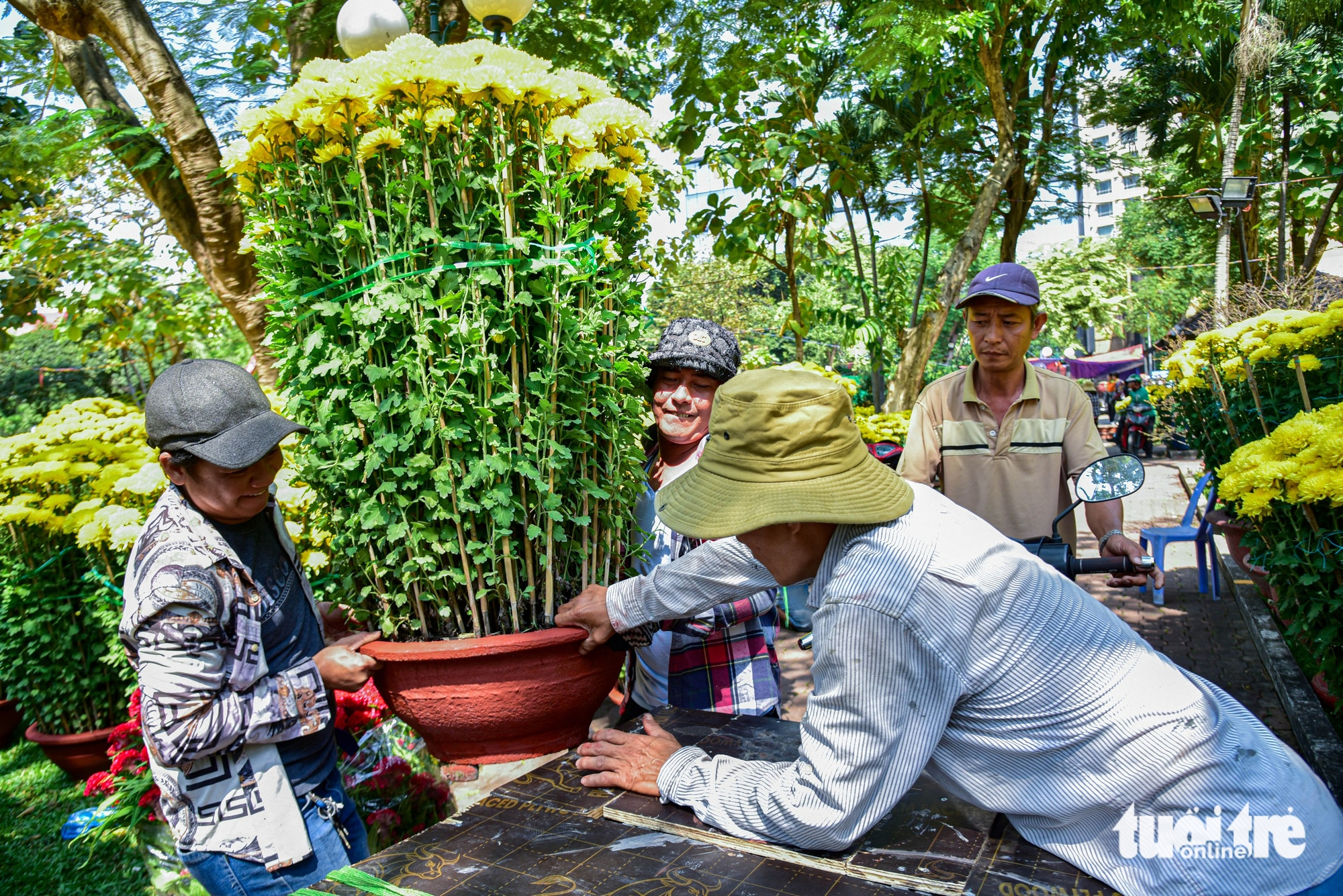 chợ hoa - Ảnh 4.