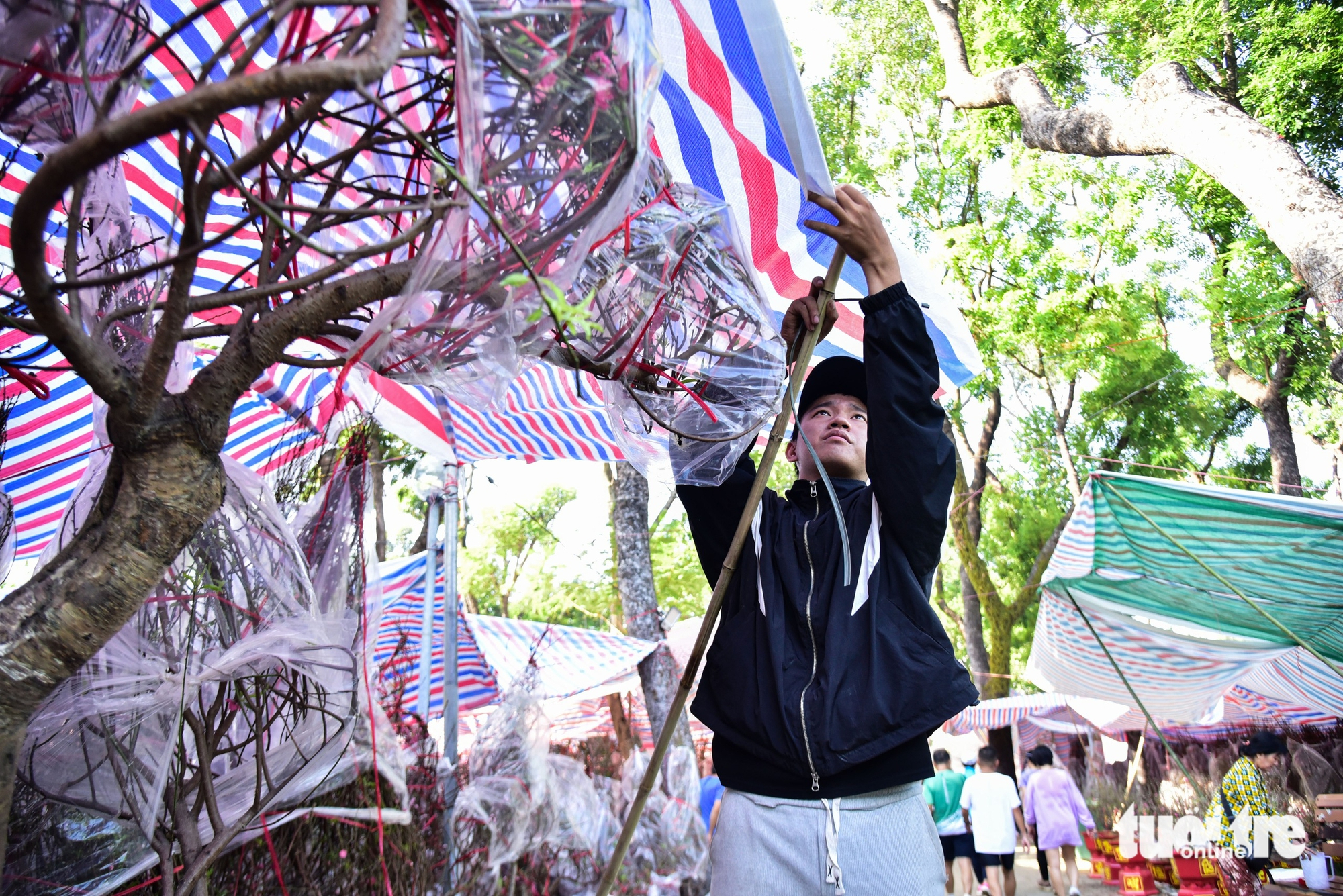 chợ hoa - Ảnh 6.