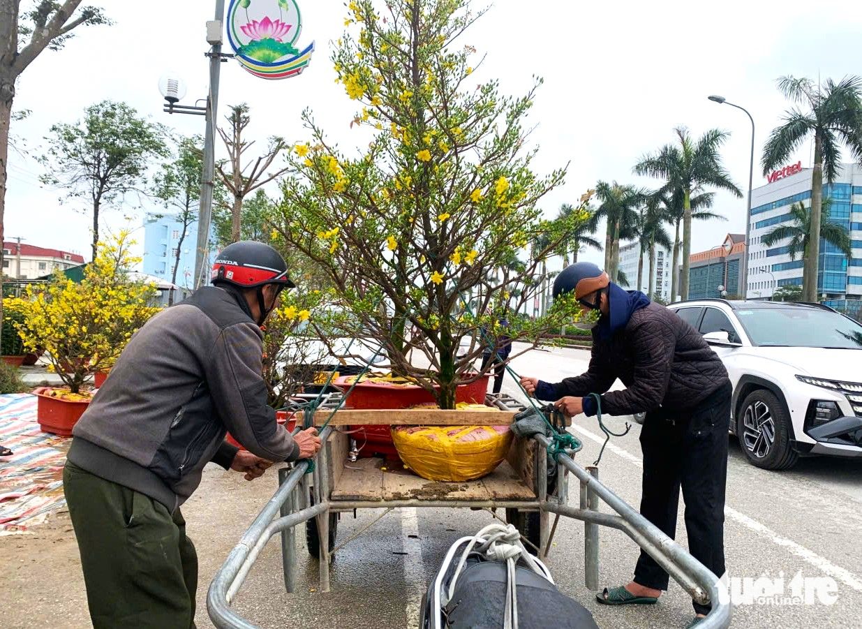 Cuối năm thu nhập khấm khá bằng nghề ‘chở Tết về nhà’ - Ảnh 2.