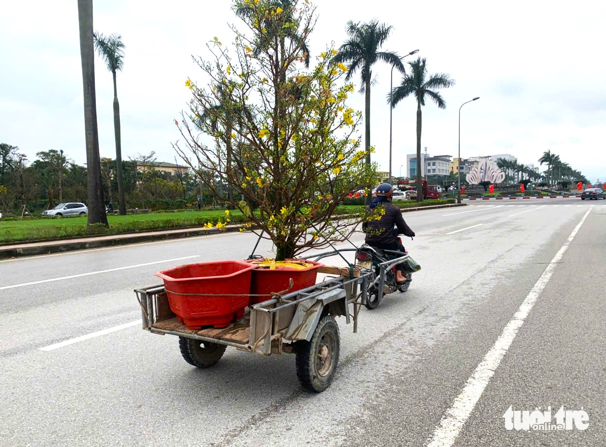 Cuối năm thu nhập khấm khá bằng nghề ‘chở Tết về nhà’ - Ảnh 3.