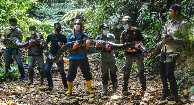 Vô tình bắt được 