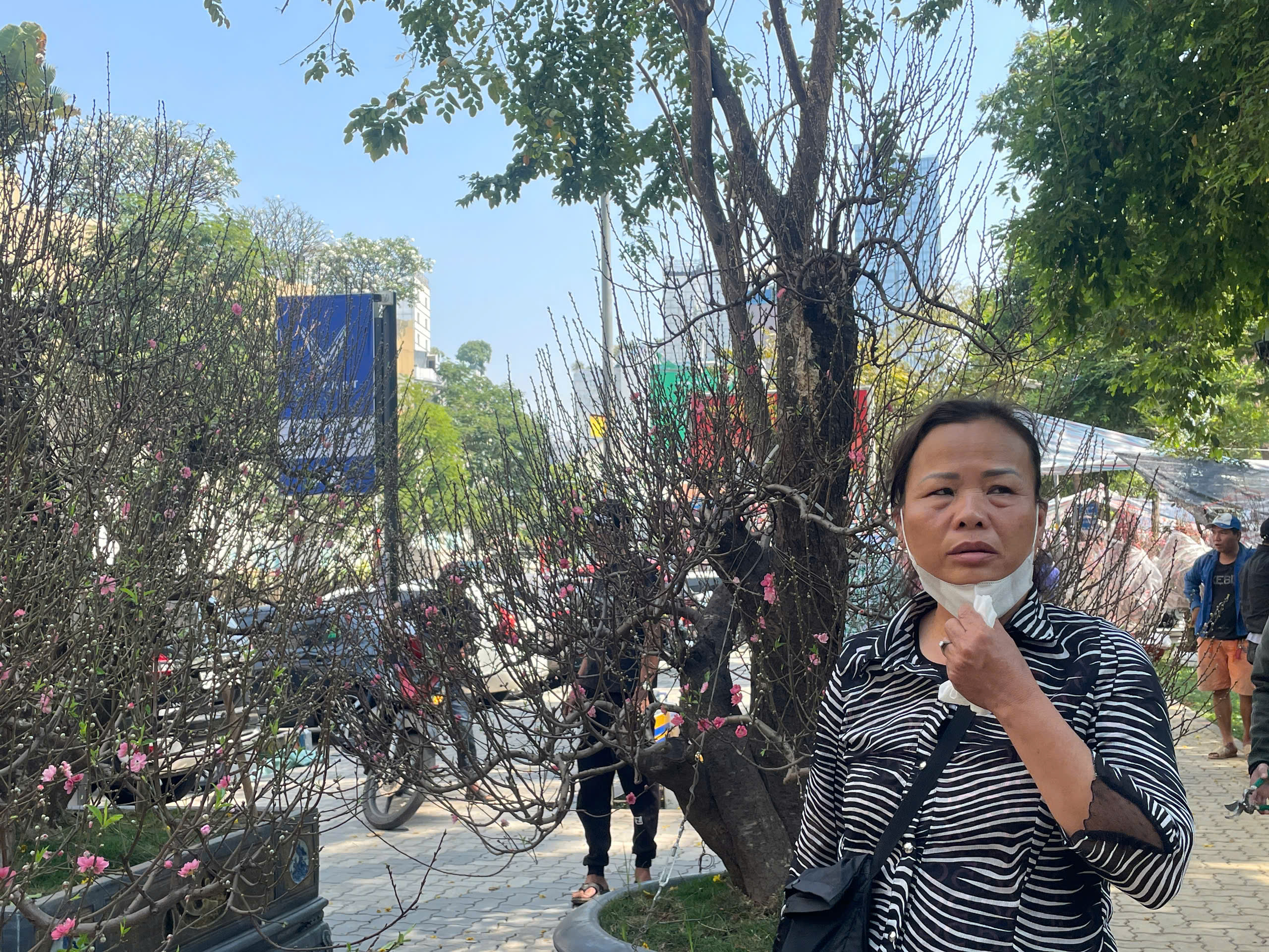 Đào cổ thụ tiền trăm triệu hút khách sớm ở chợ hoa TP HCM  - Ảnh 2.