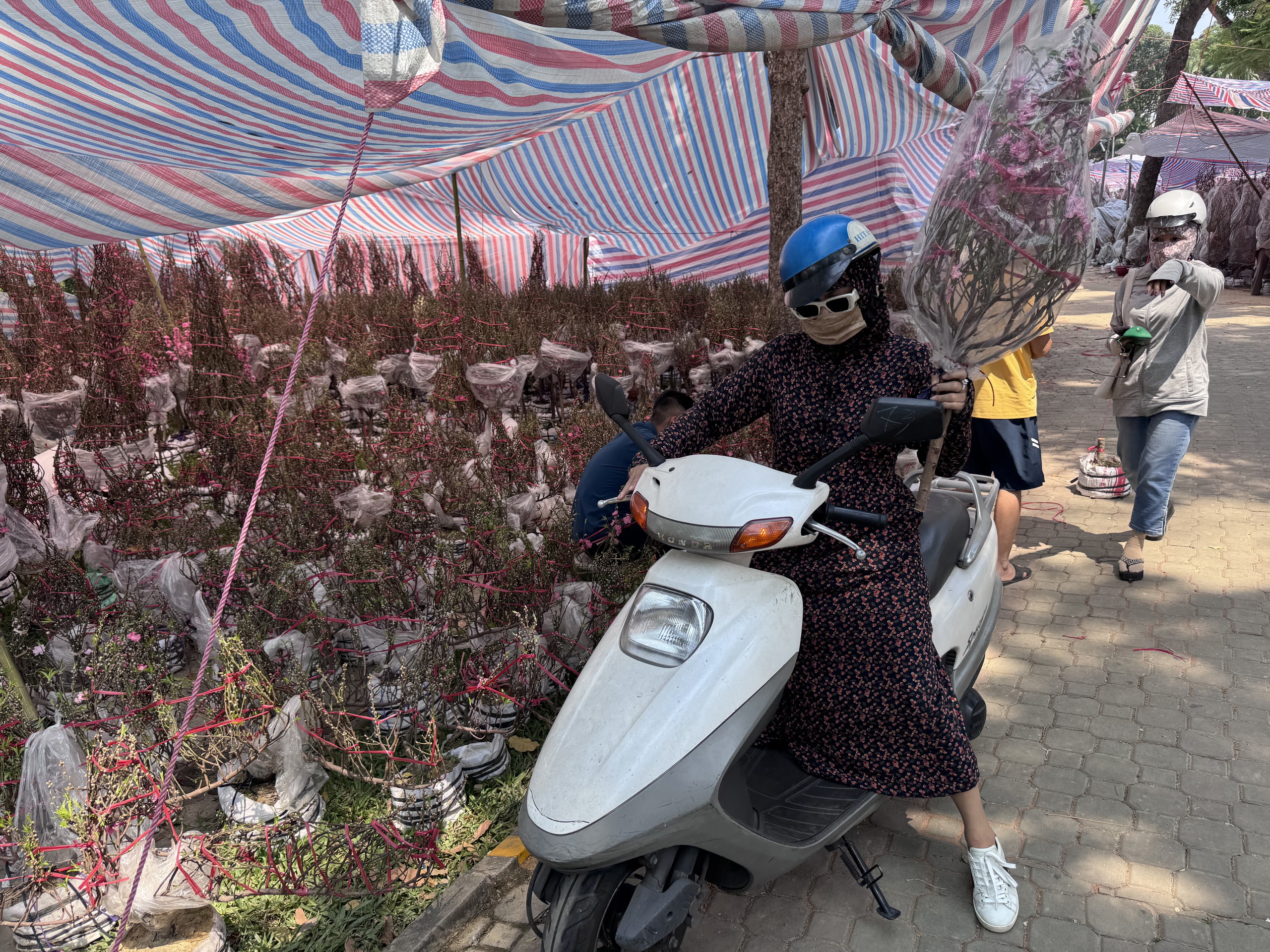 Không khí chợ hoa Tết ở TPHCM sôi động trước ngày khai trương 2026 - Ảnh 11.