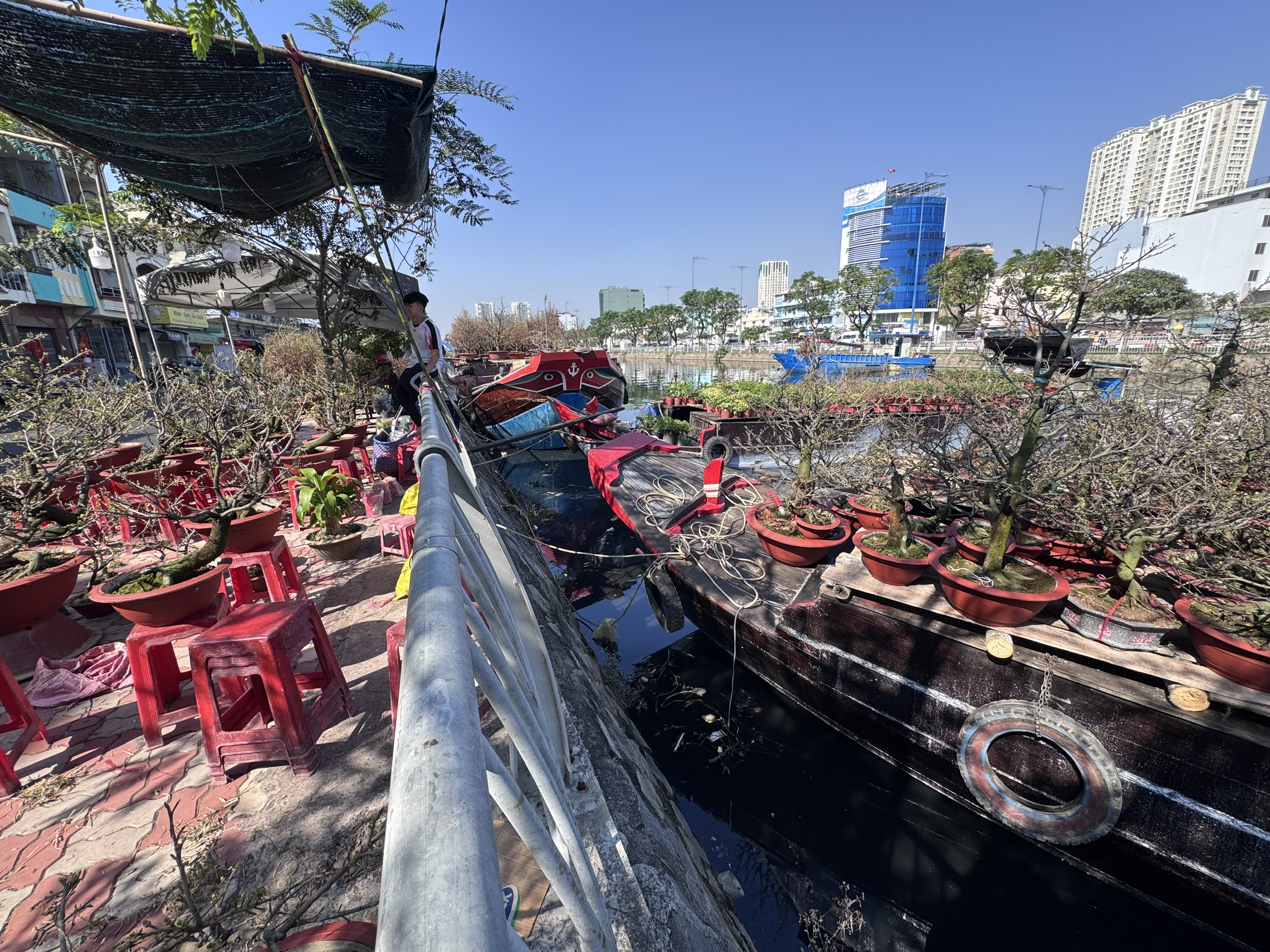 Không khí chợ hoa Tết ở TPHCM sôi động trước ngày khai trương 2026 - Ảnh 13.