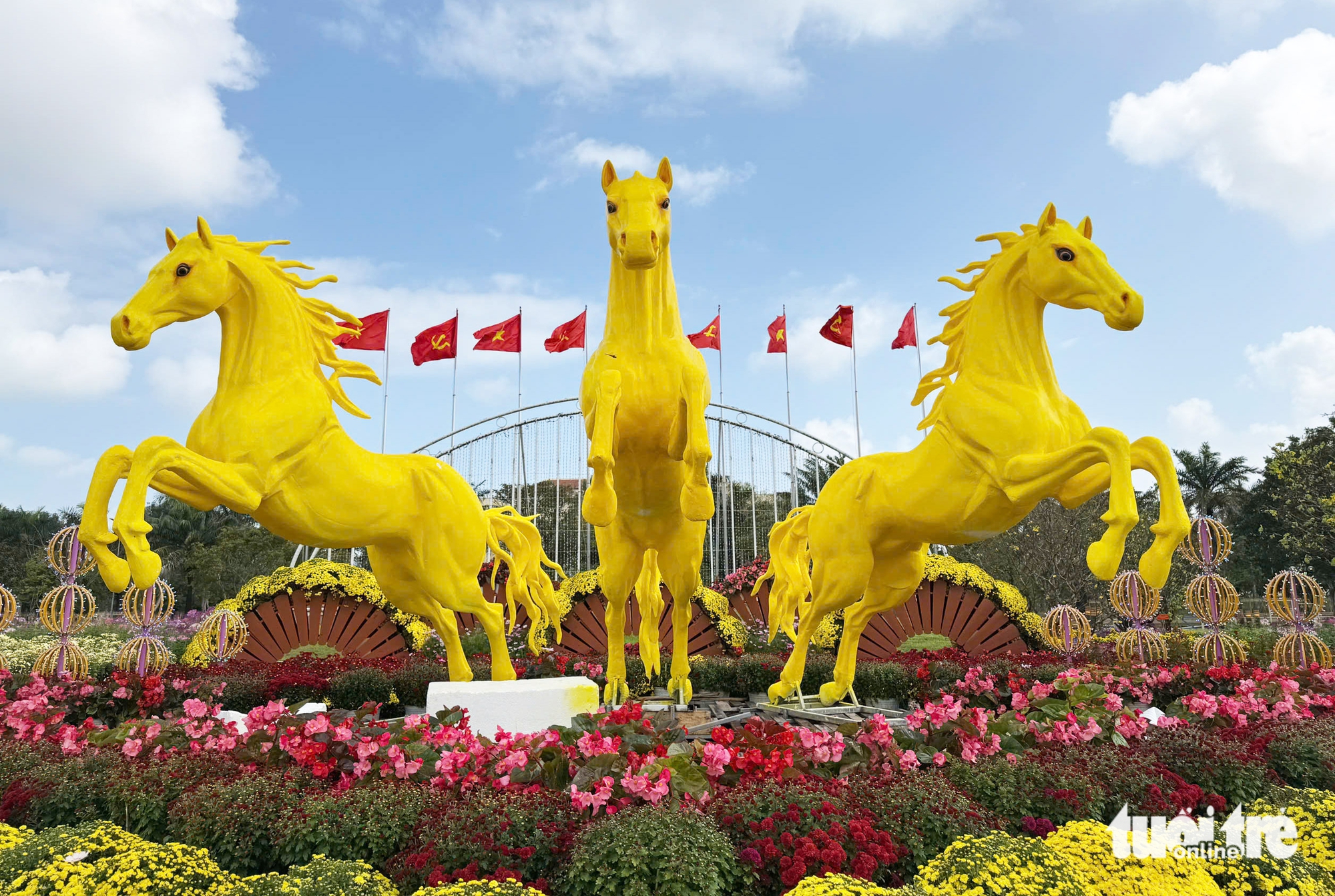 ngựa vàng - Ảnh 3.