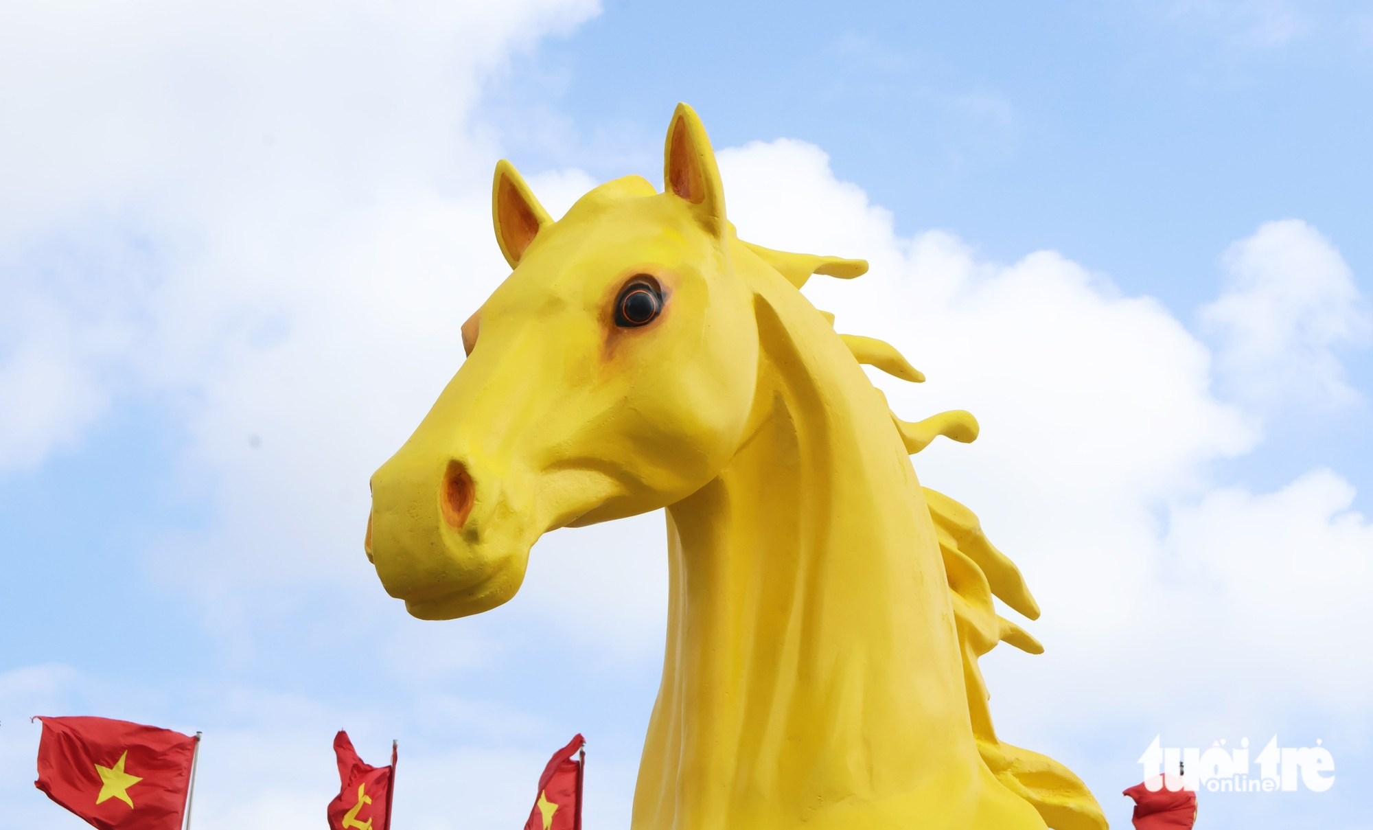 ngựa vàng - Ảnh 5.