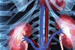 Loại nước là 'vua phá gan, thận' rất mạnh, ngon đến mấy cũng nên bỏ sớm