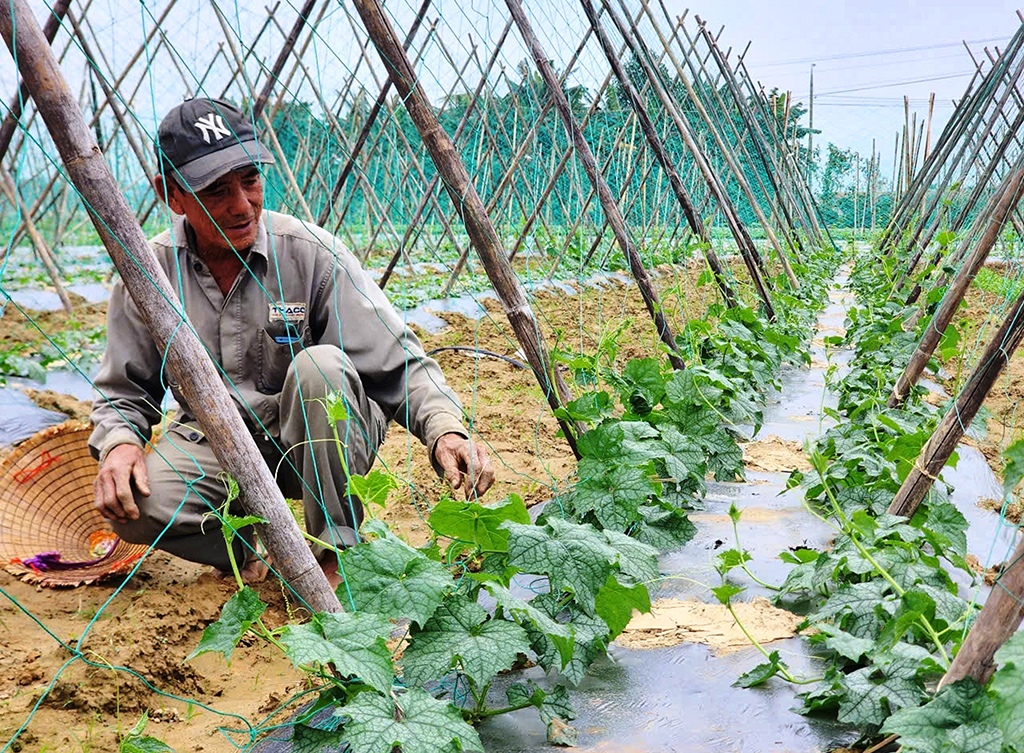 Mạch sống từ lòng đất- Ảnh 3.