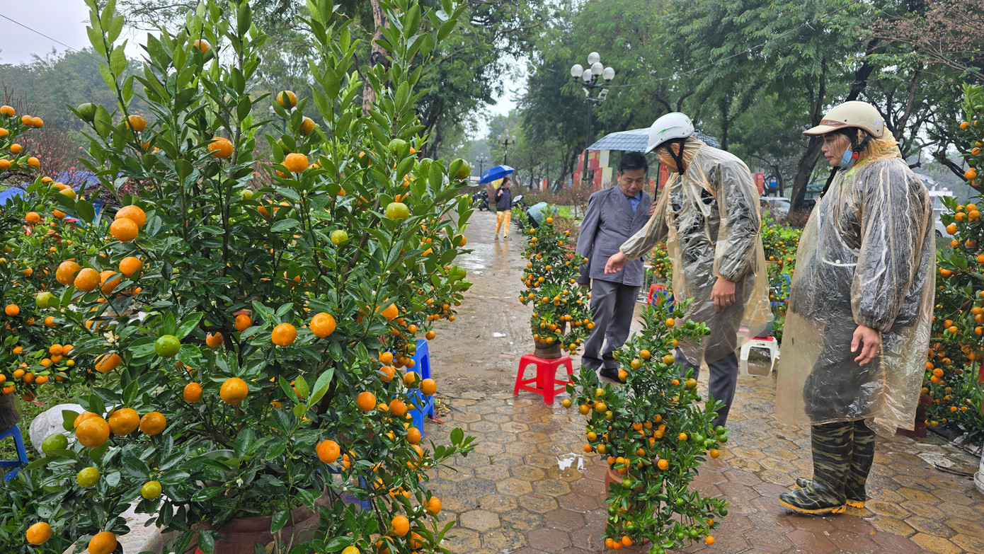 Cận Tết, phố bớt cây cảnh tràn đường, chợ hoa Hà Nội vẫn vắng khách- Ảnh 2.