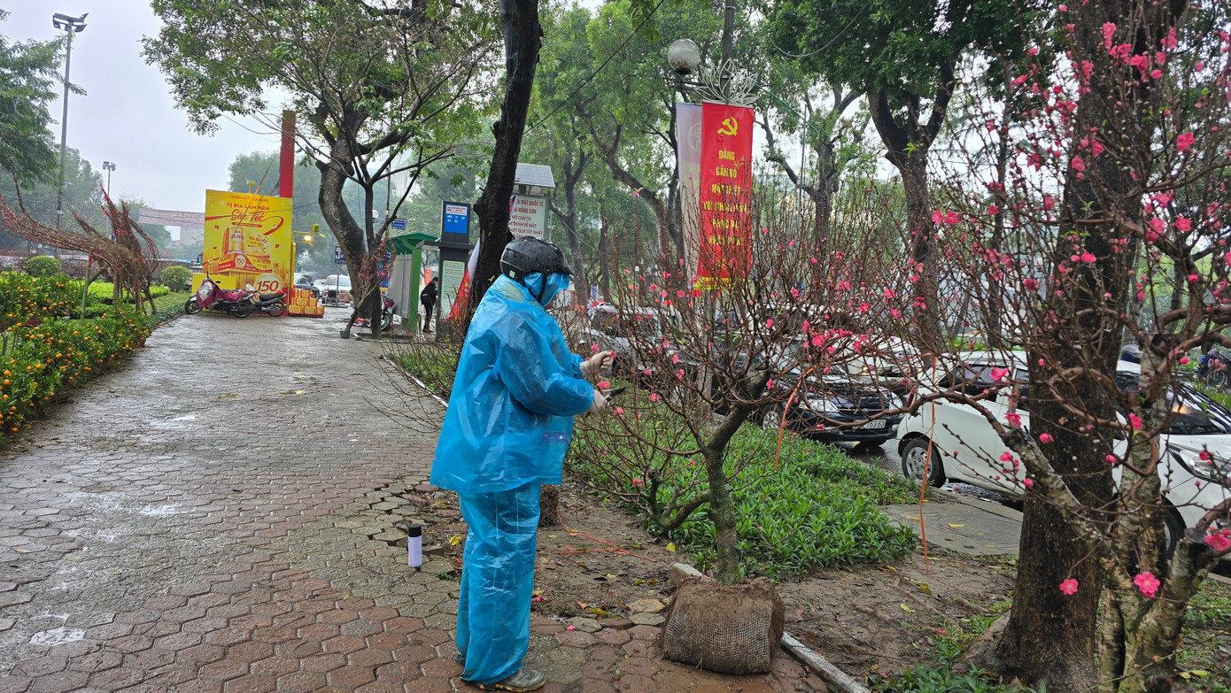 Cận Tết, phố bớt cây cảnh tràn đường, chợ hoa Hà Nội vẫn vắng khách- Ảnh 6.