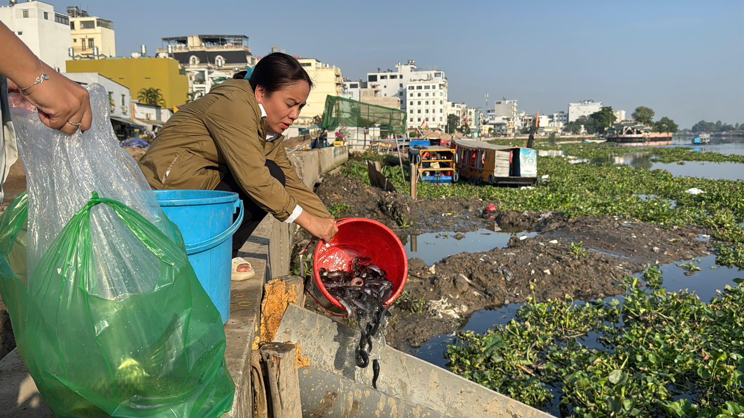 Người dân TP HCM đi thả cá chép từ sáng sớm - Ảnh 6.