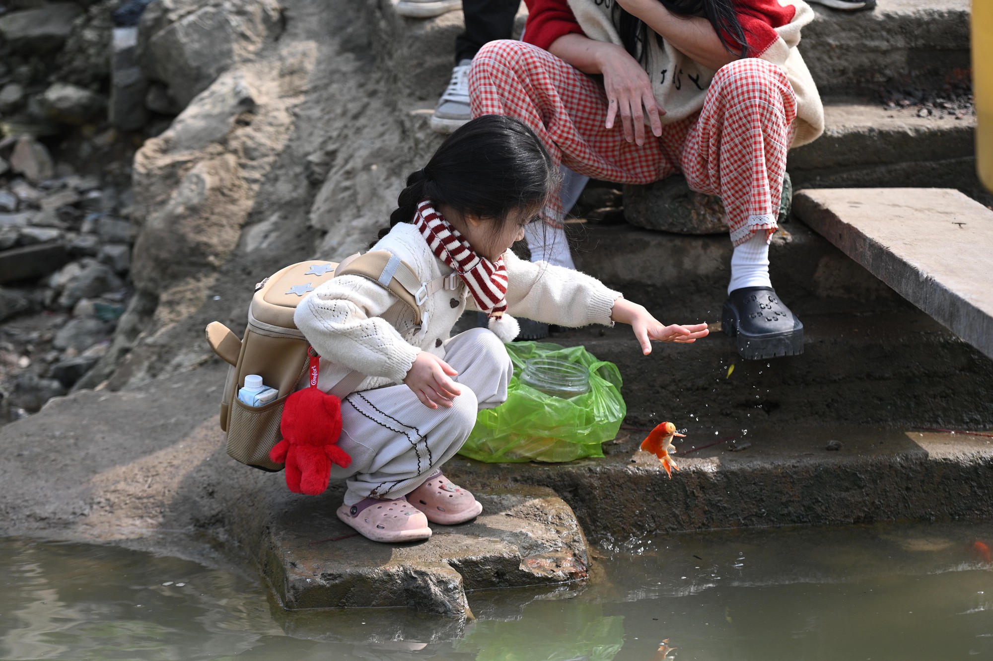Mía chằng kín xe máy, cá chép đỏ rực bến sông: TP.HCM - Hà Nội rộn ràng tiễn ông Công ông Táo ngày 23 tháng Chạp- Ảnh 6.