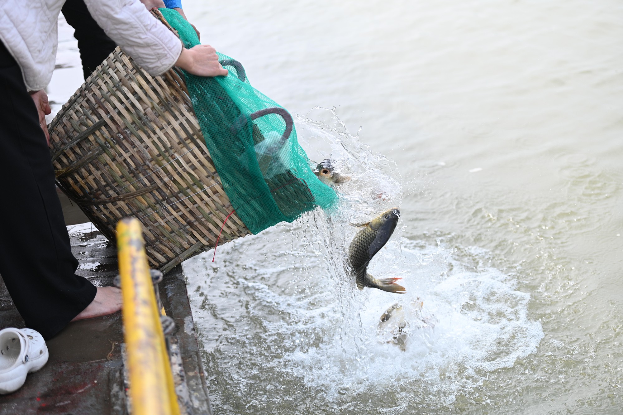 Mía chằng kín xe máy, cá chép đỏ rực bến sông: TP.HCM - Hà Nội rộn ràng tiễn ông Công ông Táo ngày 23 tháng Chạp- Ảnh 8.