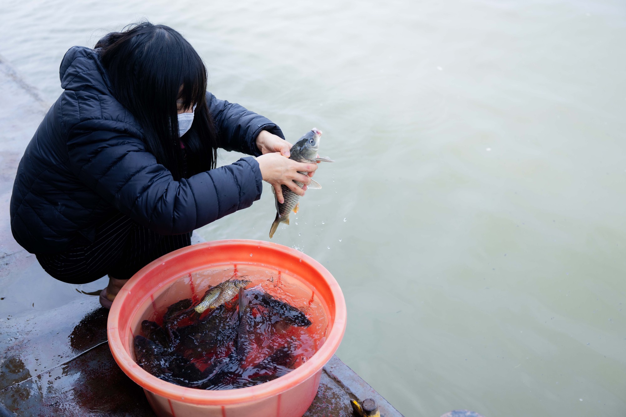 Mía chằng kín xe máy, cá chép đỏ rực bến sông: TP.HCM - Hà Nội rộn ràng tiễn ông Công ông Táo ngày 23 tháng Chạp- Ảnh 9.