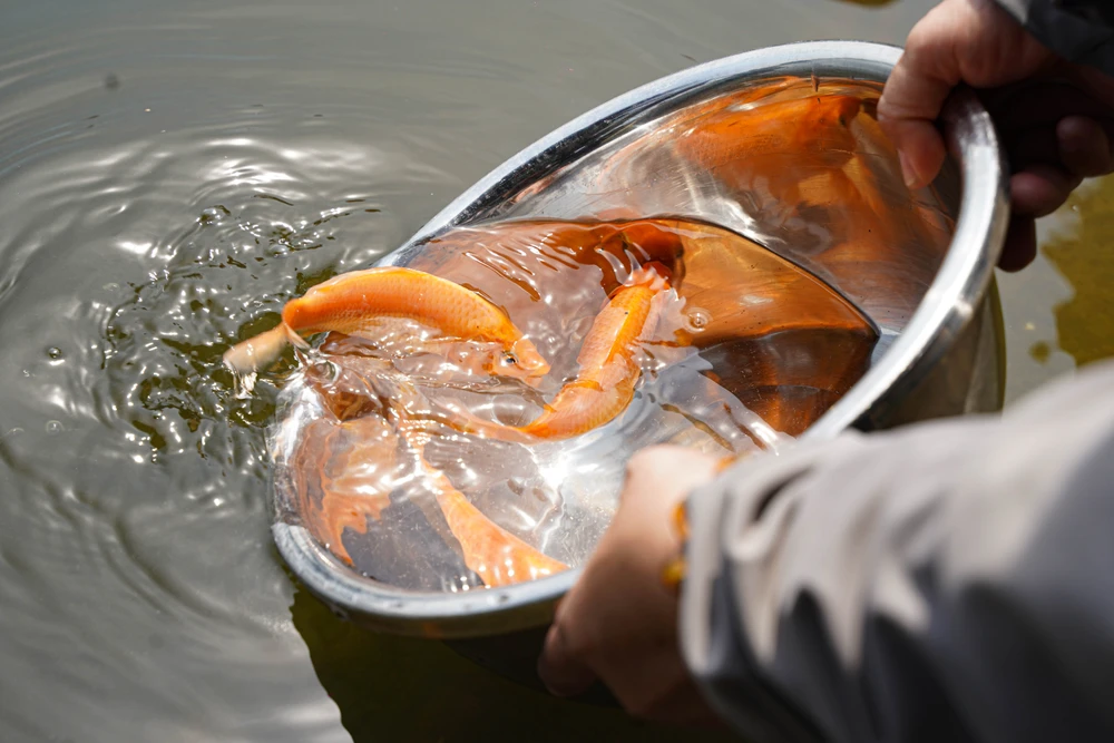 ông Công ông Táo (8).jpg