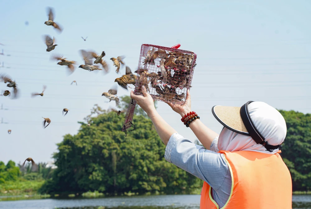 ông Công ông Táo (6).jpg