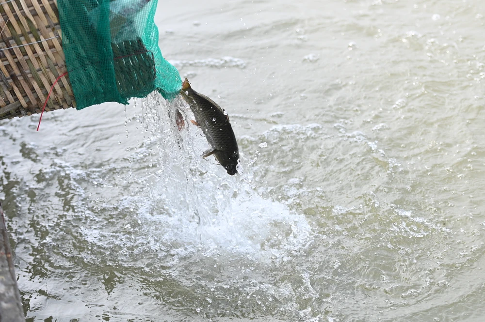 ông công ông táo.JPG