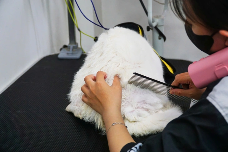 Nha Trang - Ảnh 7.