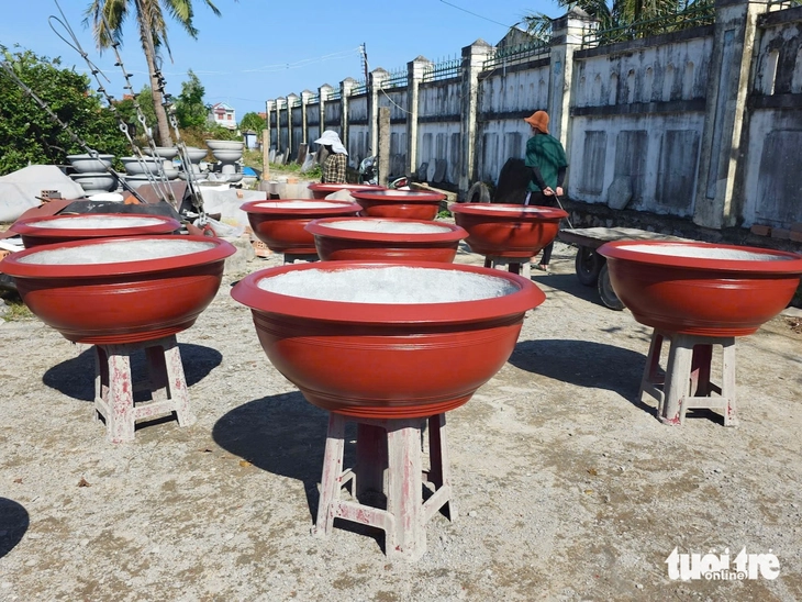 chậu cảnh - Ảnh 9.