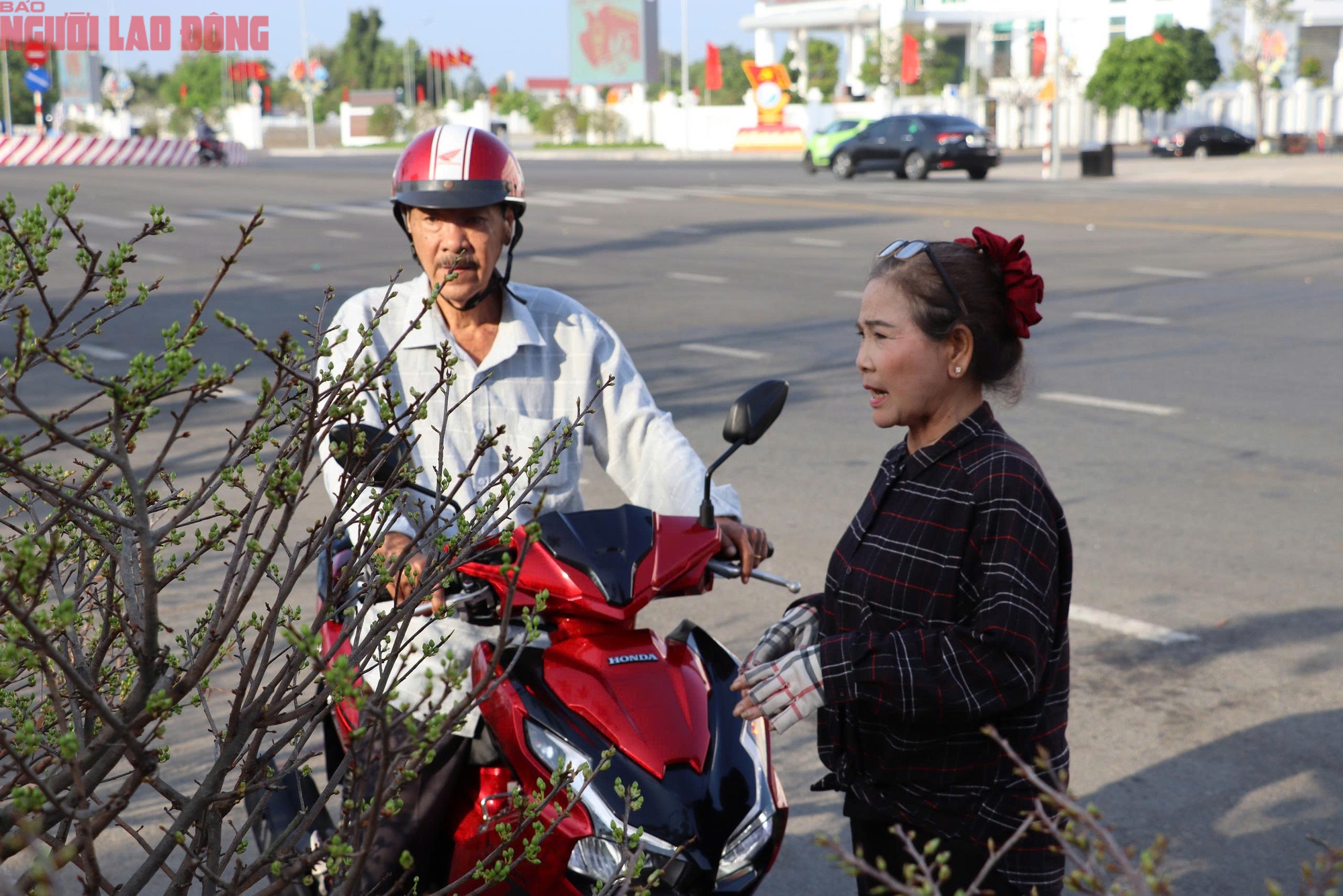 VIDEO: Hoa, kiểng Tết giá bình dân hút khách tại miền Tây - Ảnh 1.