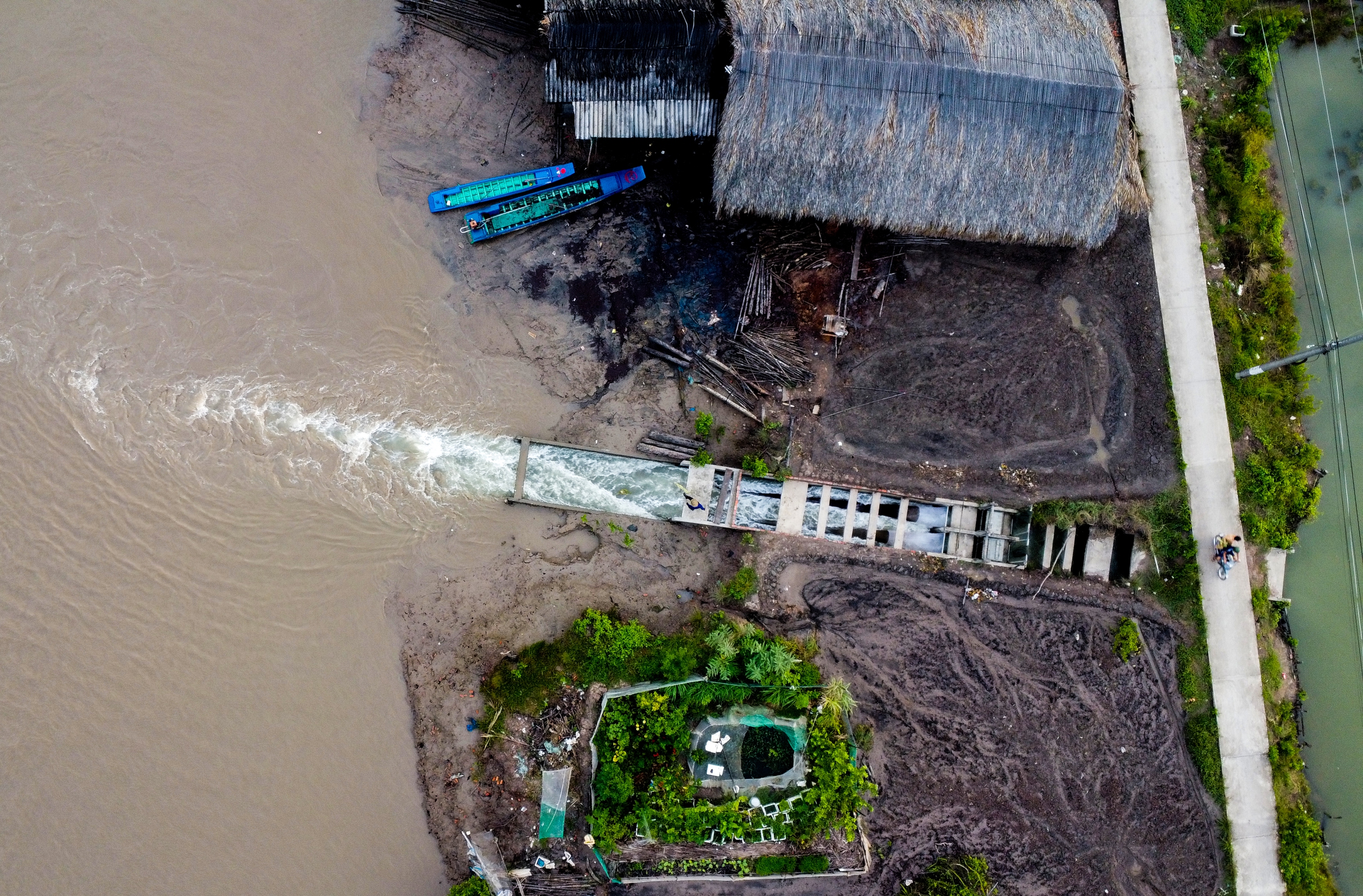 cá chẽm - Ảnh 2.