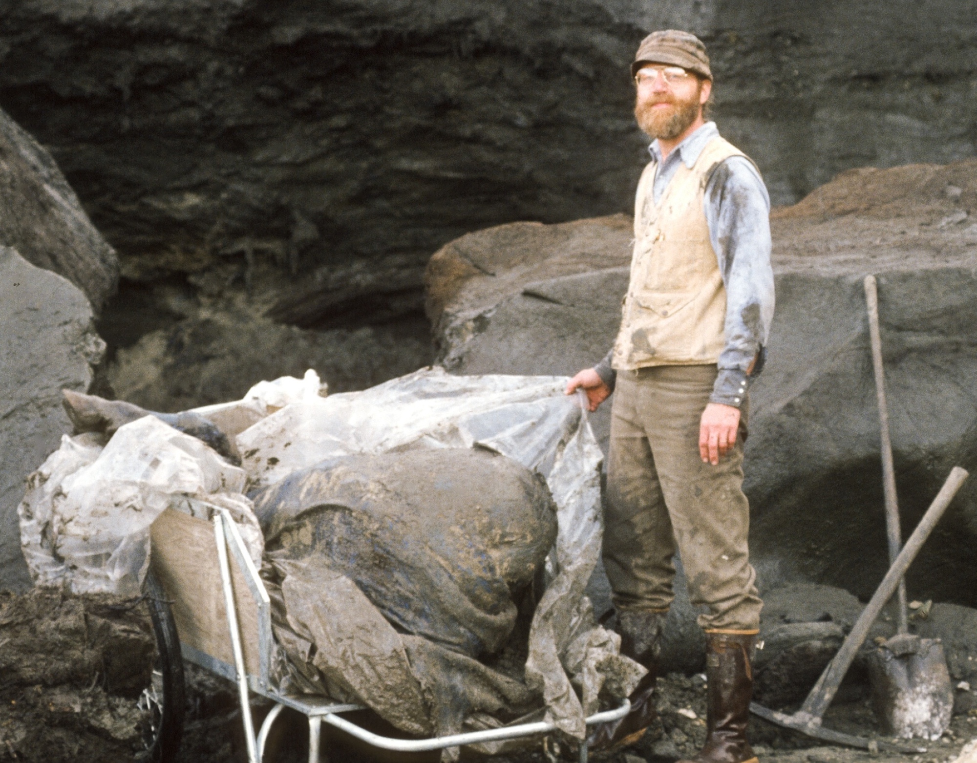 Các nhà khoa học đã nấu một con bò rừng 50.000 năm tuổi để ăn và nhận xét: 