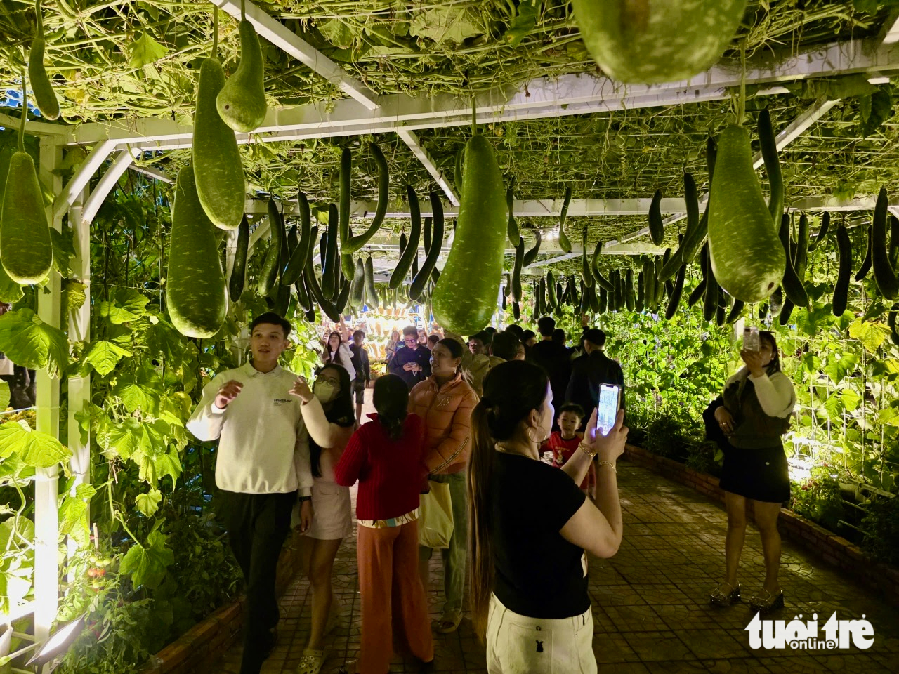 du khách - Ảnh 8.