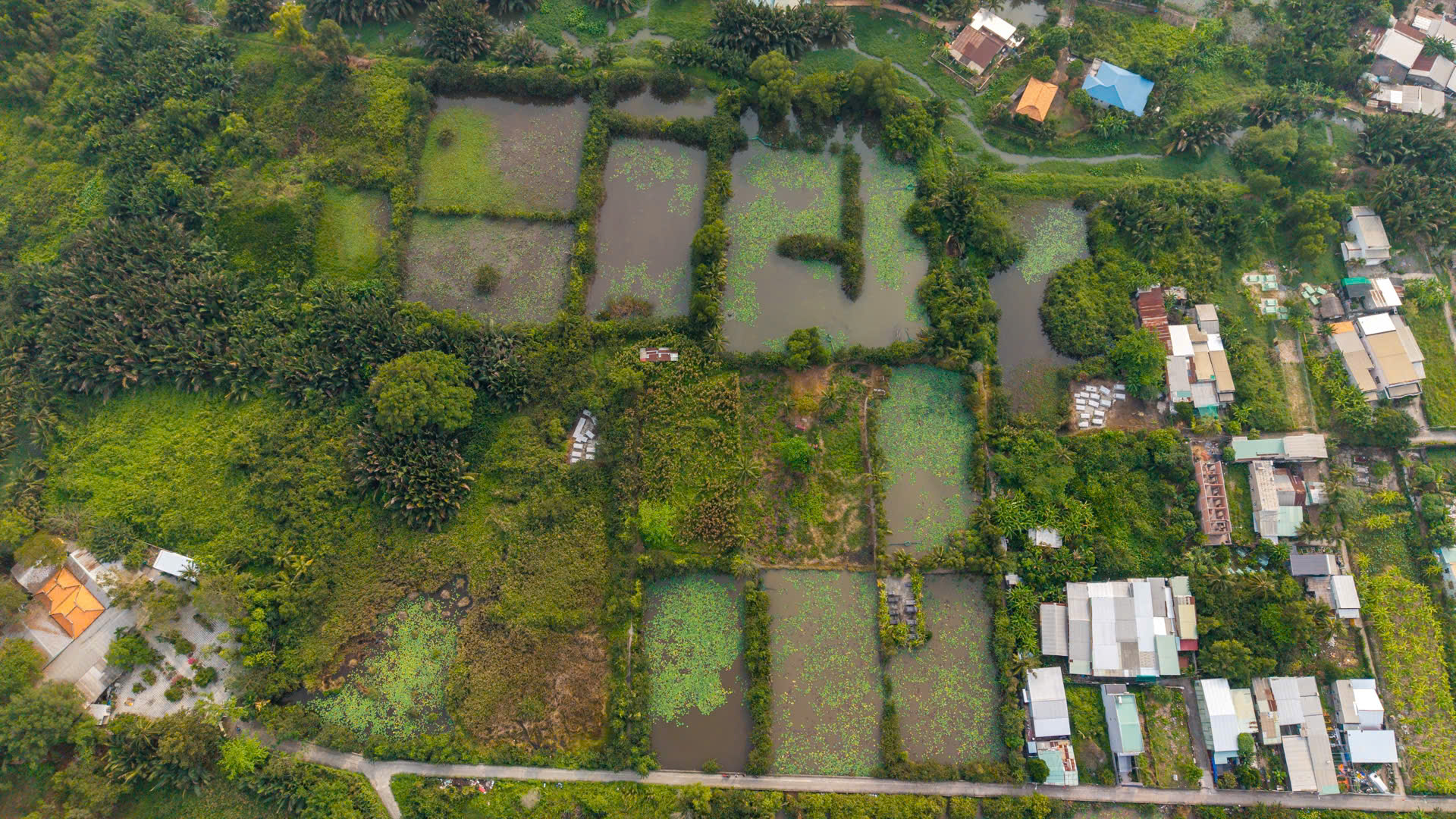 Kỳ vọng bán đảo Bình Quới - Thanh Đa 