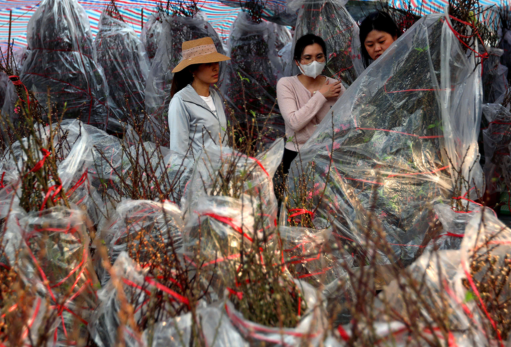 Nhà vườn chờ sức mua khởi sắc cận tết- Ảnh 2.