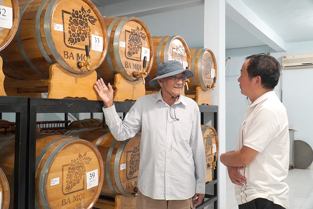 40 năm gắn bó với cây nho Khánh Hòa - Ảnh 2.