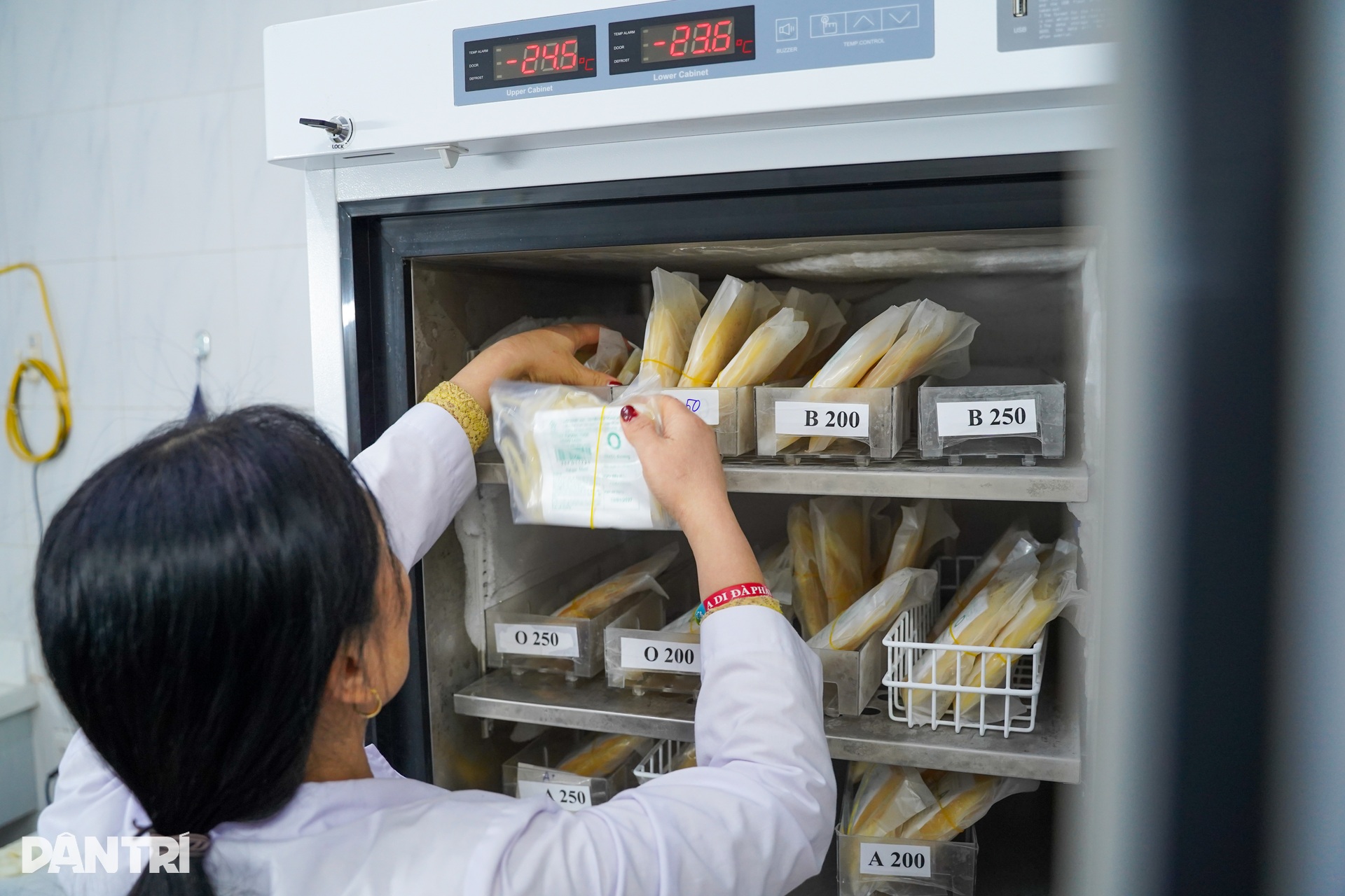 Nhiệm vụ không được phép trễ của chuyến xe đi ra từ cổng viện máu lúc 5h - 5