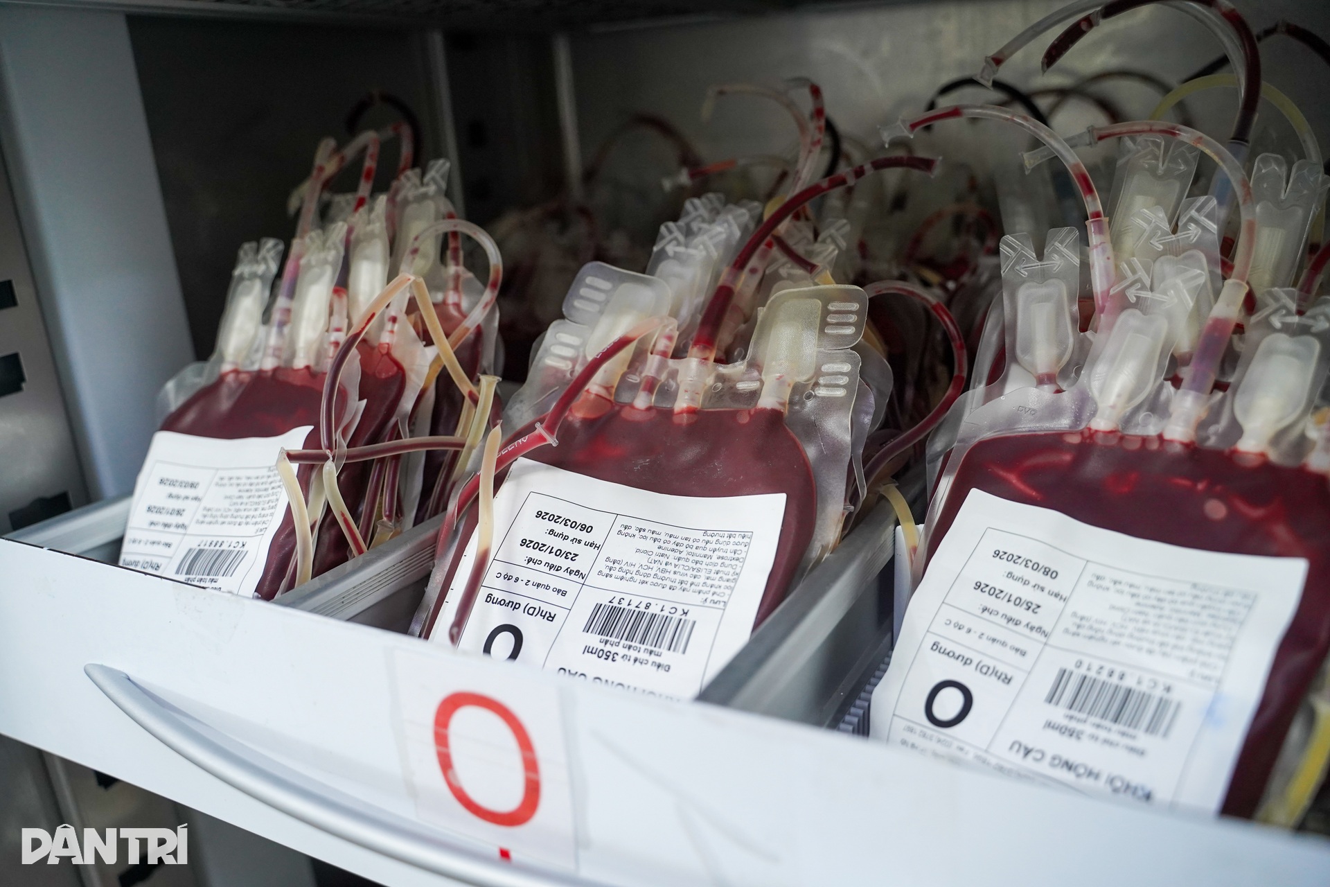 Nhiệm vụ không được phép trễ của chuyến xe đi ra từ cổng viện máu lúc 5h - 6