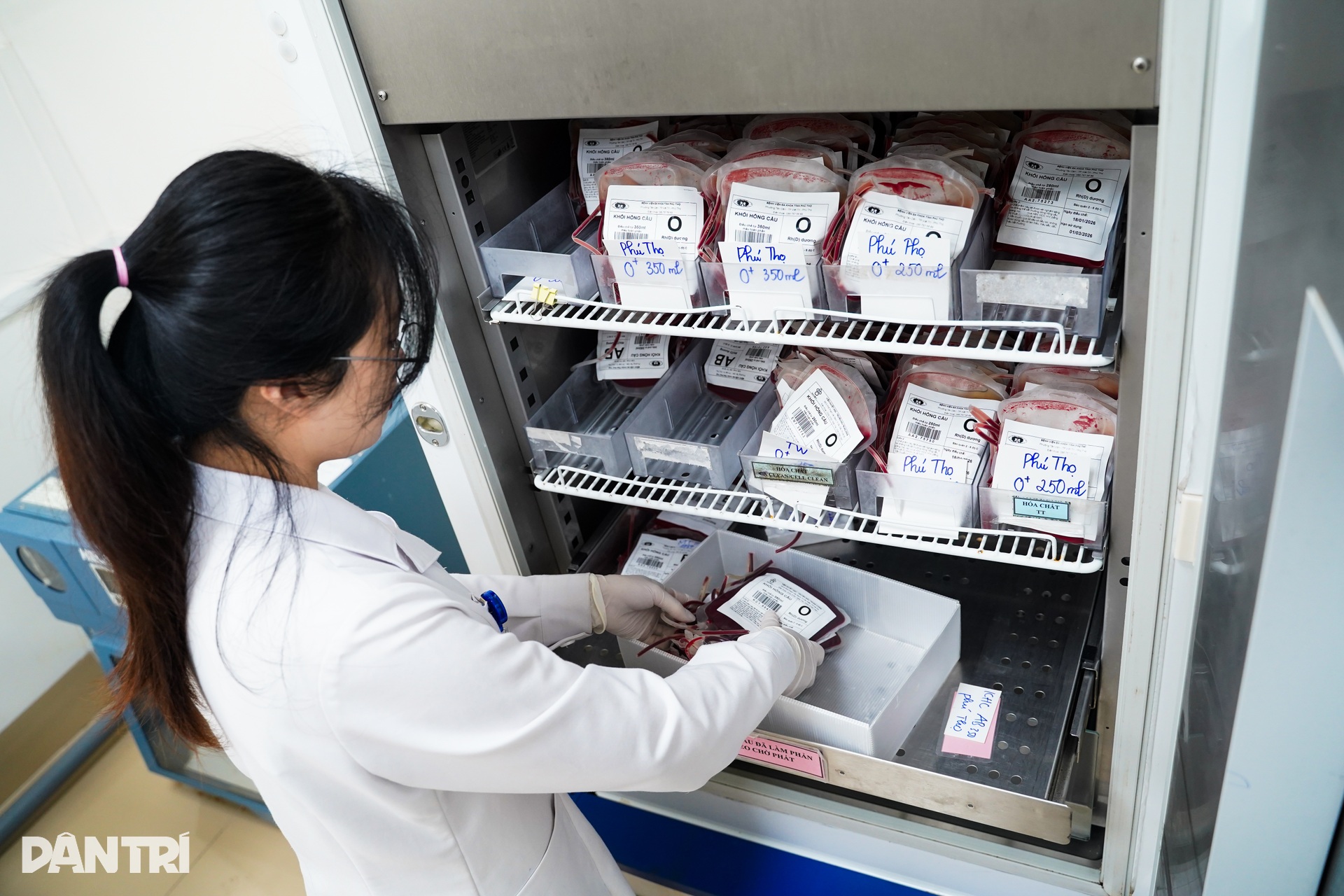 Nhiệm vụ không được phép trễ của chuyến xe đi ra từ cổng viện máu lúc 5h - 9