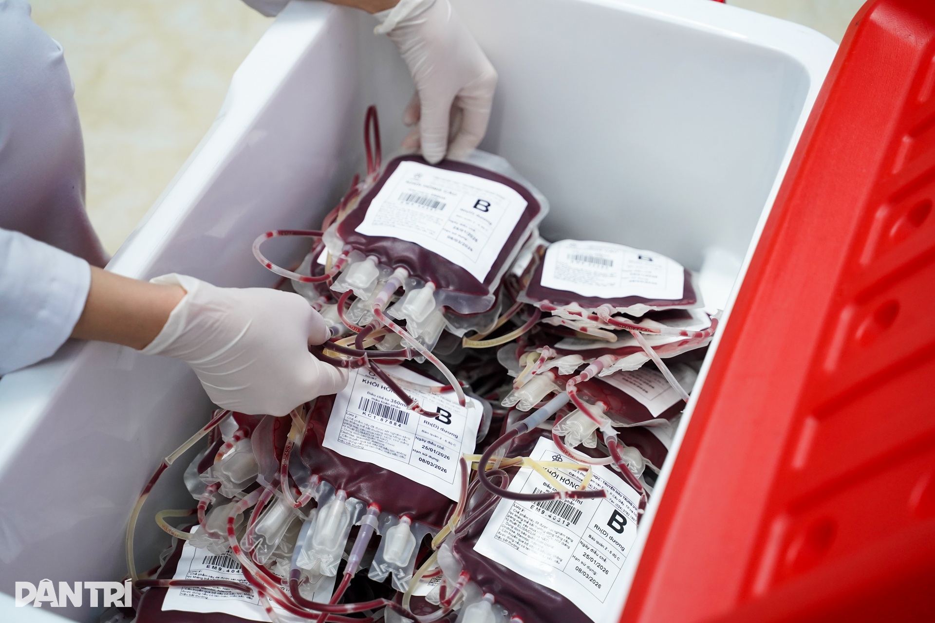 Nhiệm vụ không được phép trễ của chuyến xe đi ra từ cổng viện máu lúc 5h - 15