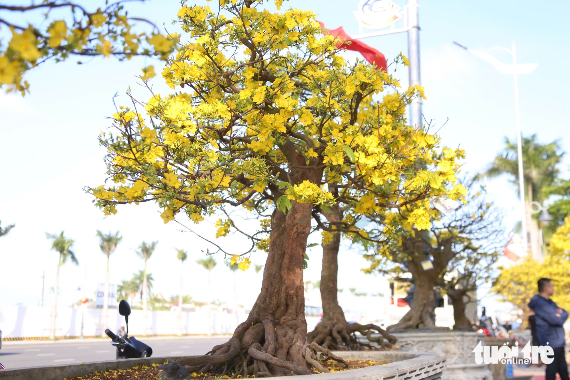 Đà Nẵng - Ảnh 5.