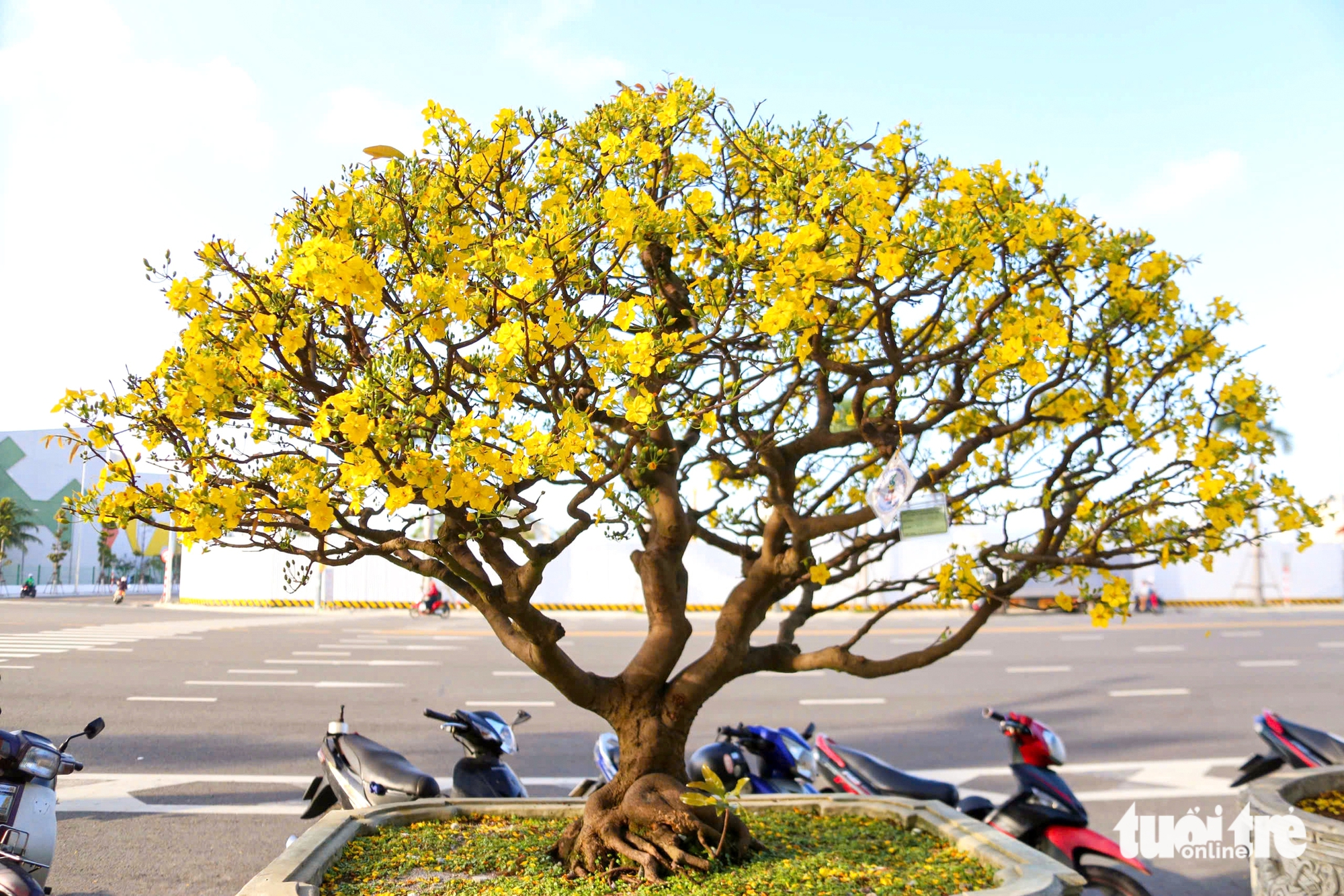 Đà Nẵng - Ảnh 7.