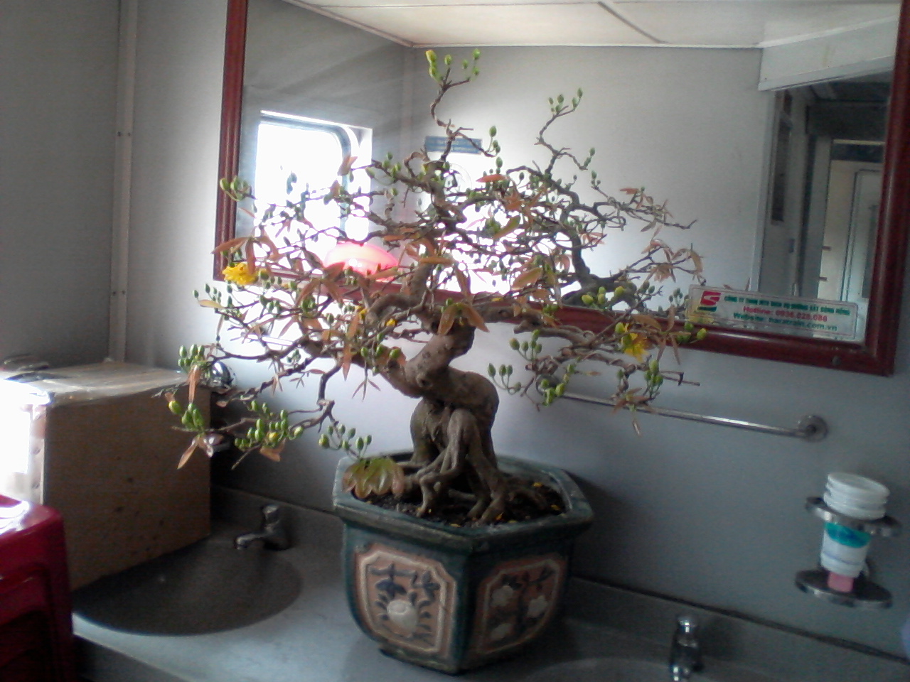 Trên những chuyến tàu chở mùa xuân dịp cuối năm - Ảnh 4.