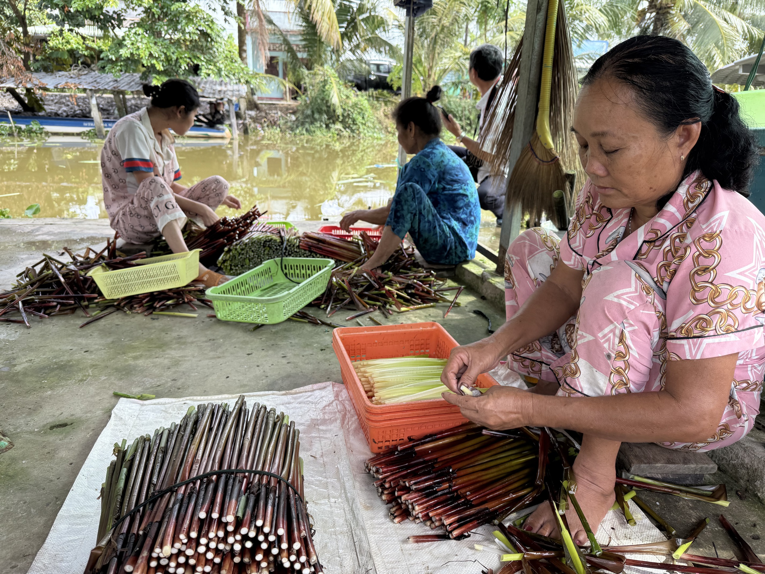 Làm giàu từ 'cỏ dại' ở vùng đất phèn mặn - Ảnh 4.