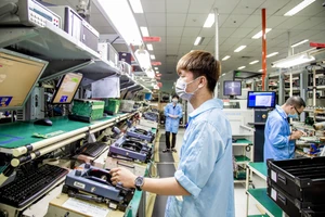 Người lao động làm việc dịp Tết và trách nhiệm pháp lý của doanh nghiệp