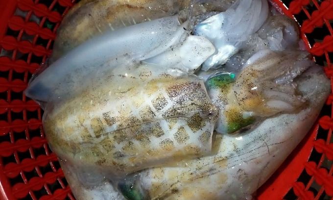 Mực lá tại một chợ ở Nha Trang, Khánh Hòa. Ảnh: An Cảng