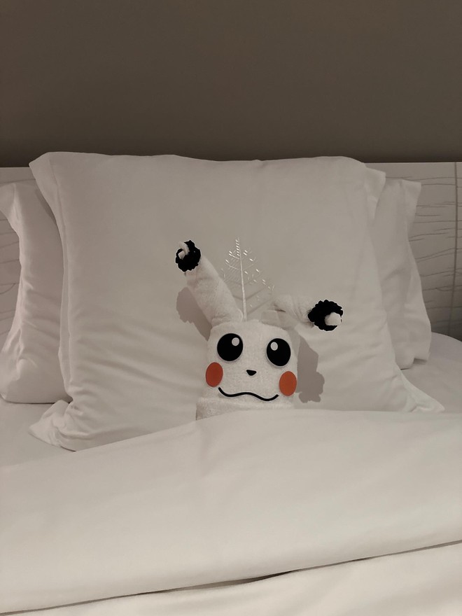 Khách Tây chi 100 nghìn thử thách nhân viên khách sạn, sững sờ nhận về nguyên con cá sấu khổng lồ- Ảnh 2.