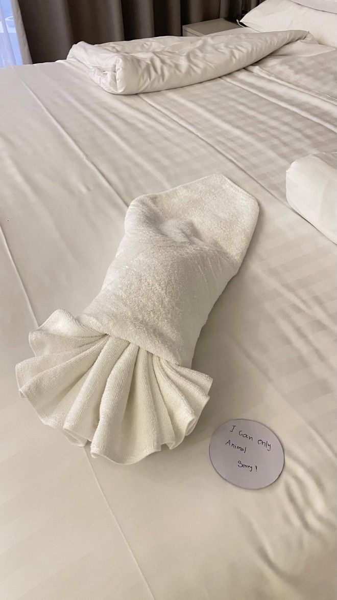 Khách Tây chi 100 nghìn thử thách nhân viên khách sạn, sững sờ nhận về nguyên con cá sấu khổng lồ- Ảnh 5.