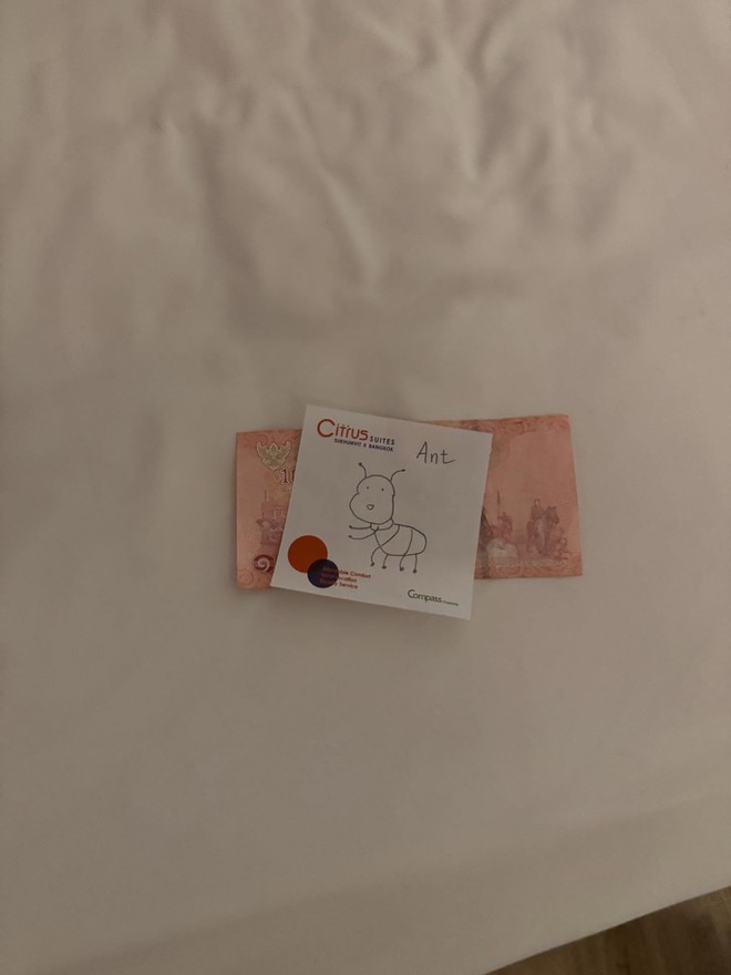 Khách Tây chi 100 nghìn thử thách nhân viên khách sạn, sững sờ nhận về nguyên con cá sấu khổng lồ- Ảnh 6.