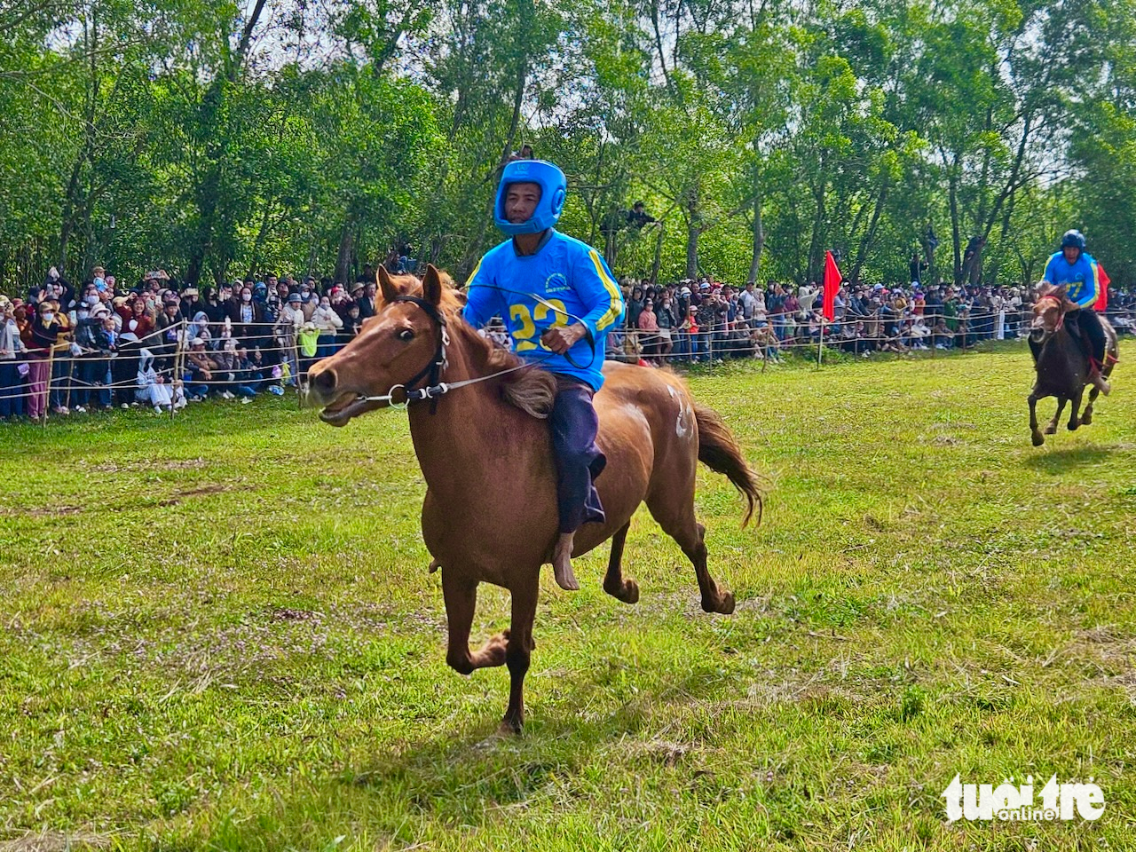 Cách nông dân ‘biến’ ngựa thồ thành ngựa đua - Ảnh 6.