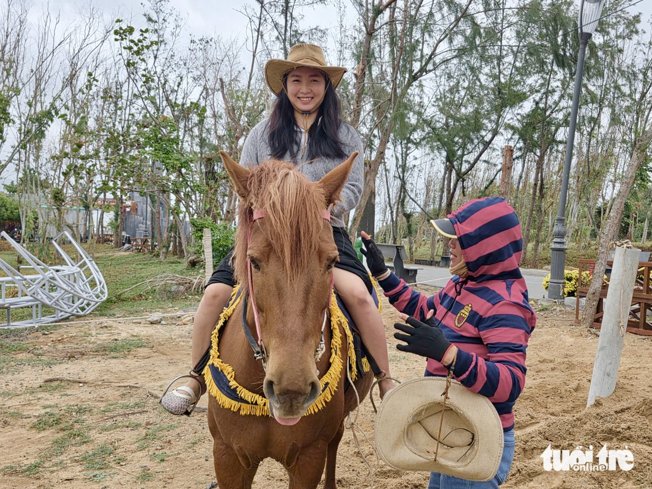 ngựa đua - Ảnh 7.