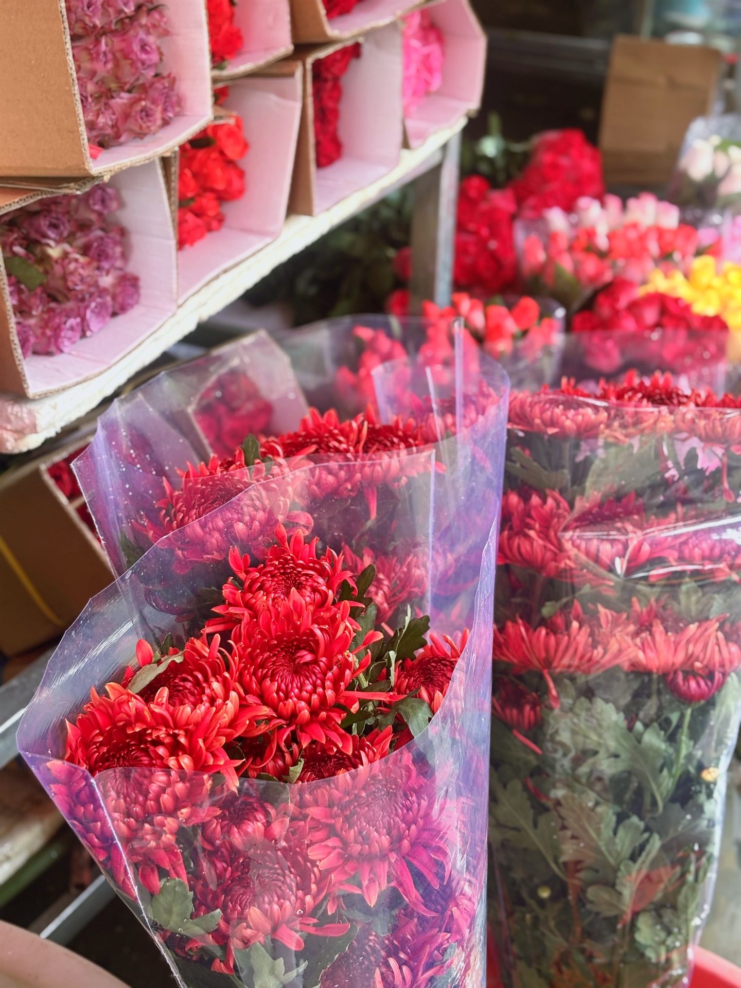 Chợ hoa Quảng Bá năm nay: Một loại hoa mới chiếm sóng, giá lên đến tiền triệu nhưng khách chốt mua chỉ trong nốt nhạc- Ảnh 11.