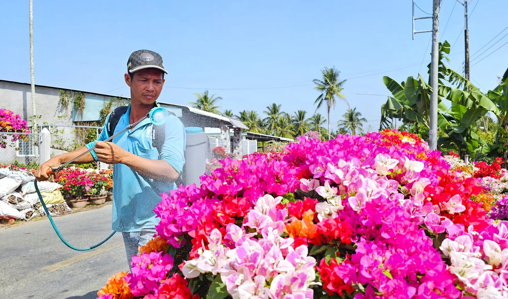 làng hoa giấy 17.jpg